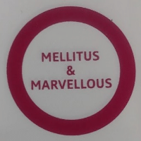 Mellitus & Marvellous Vadodara