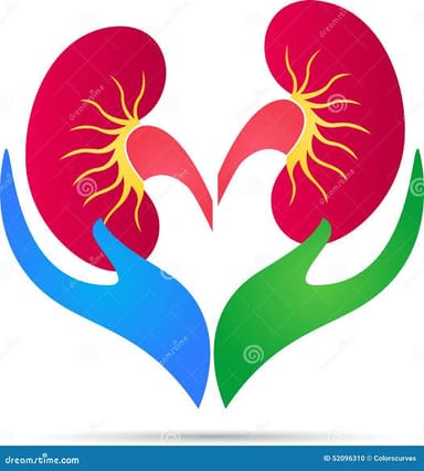 Mumbai Kidney Care