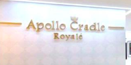 APOLLO CRADLE