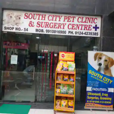 South City Pet Clinic And Surgery Centre