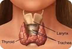 homeo doctor for thyroid bangalore india