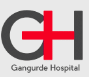 Gangurde Hospital