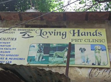 Loving Hands Pet Clinic
