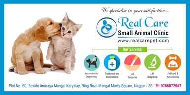 REAL CARE SMALL ANIMAL CLINIC 
