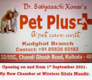 pet plus