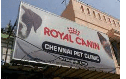 Chennai Pet Clinic