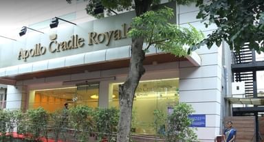 Apollo Cradle Royale