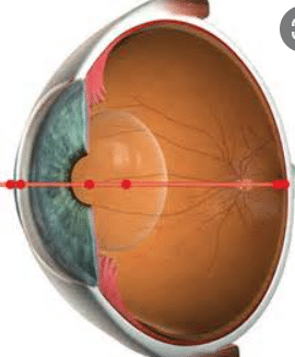 Jhaveri Eye Clinic