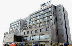 Krishna Shalby Hospital