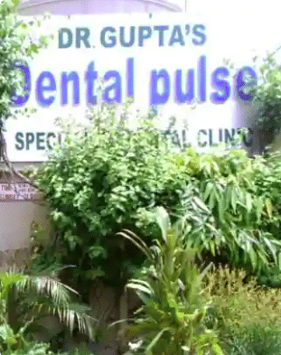 Dental Pulse
