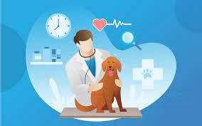 Pet Clinic