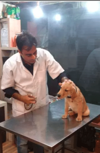 New Delhi Veterinary Clinic