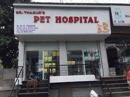 Dr. Thakur's Pet Hospital