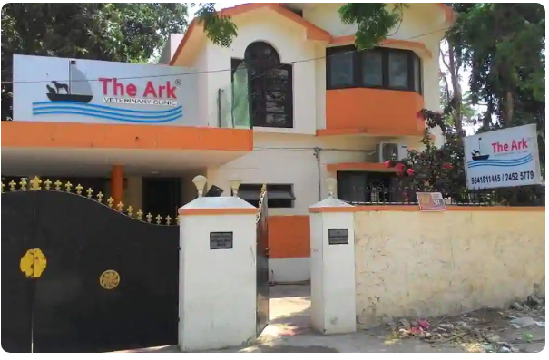 The Ark Veterinary Clinic