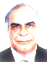 Raman Malik