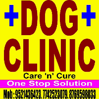 Dog Clinic