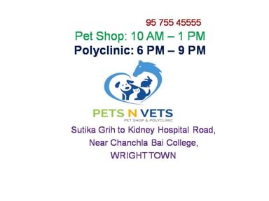 Pets N Vets Clinic