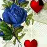 Riyaz Shaikh