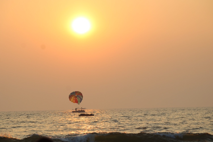 Ajinkya Devidas Telange