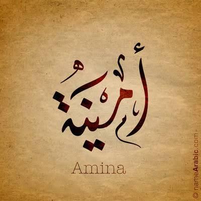 Mir Aamina