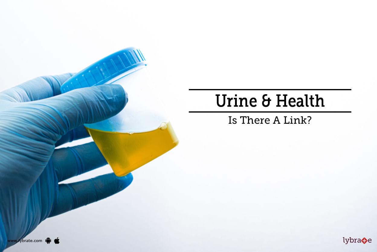 Urine & Health - Is There A Link?