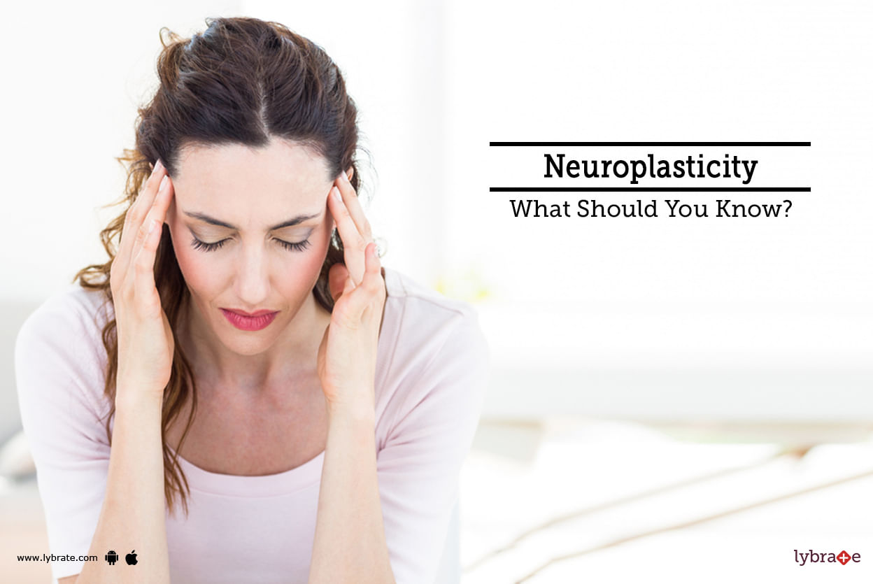 Neuroplasticity - What Should You Know?