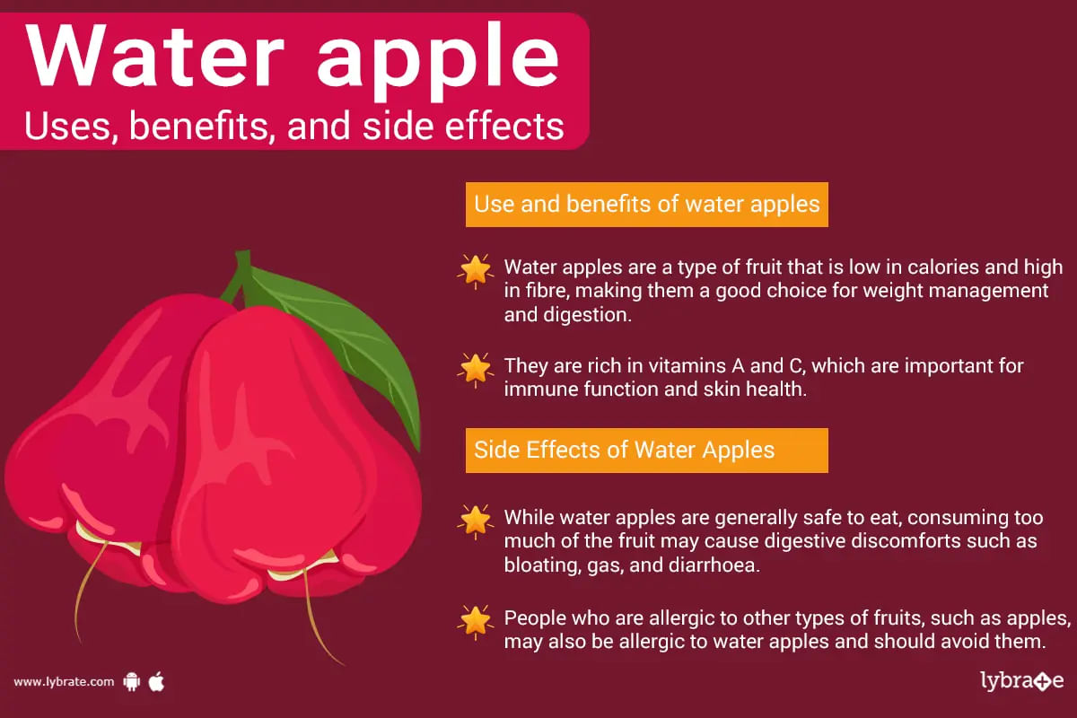 Water Apple: Uses, Benefits, Side Effects, And More!