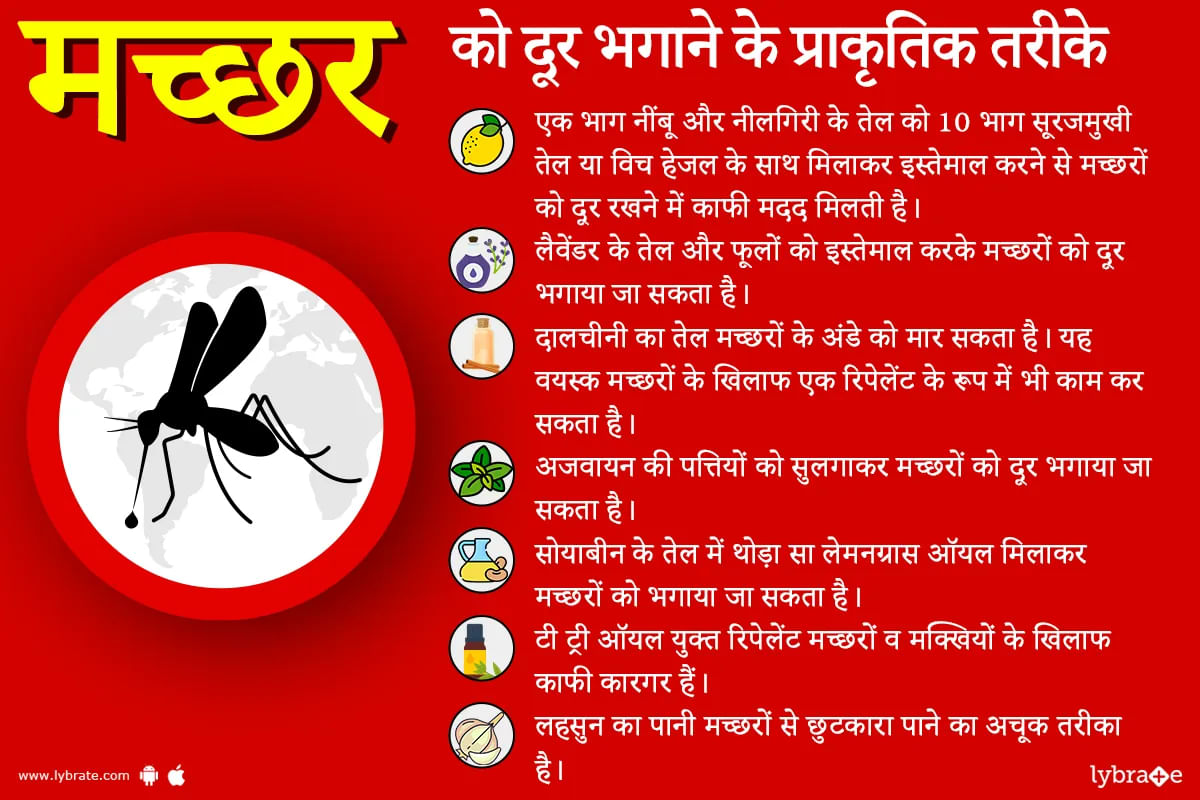 प्राकृतिक तरीके से मच्छर दूर भगाएं