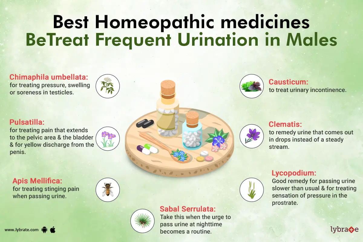 Homeopathic medicine for frequent urination in males