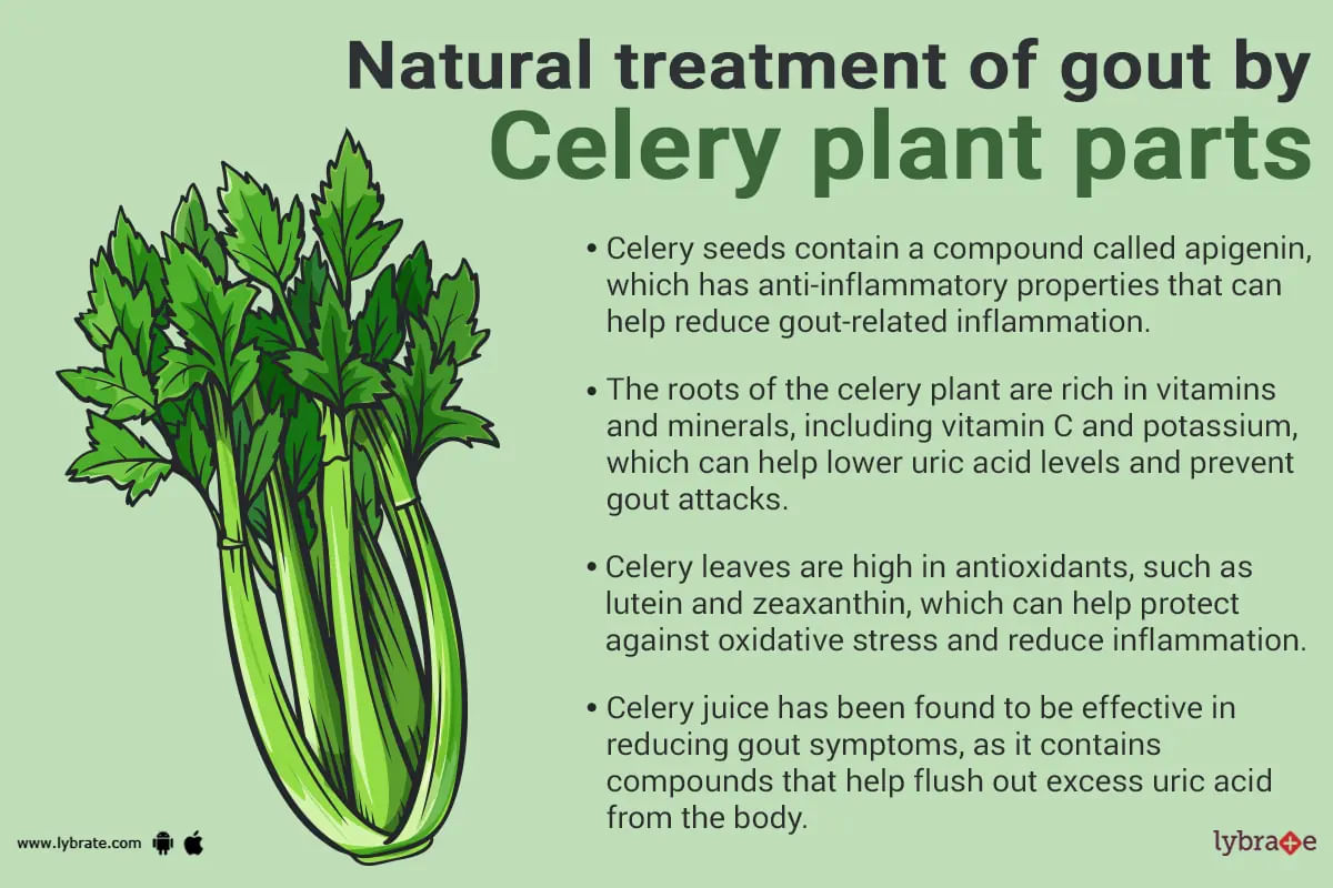 Can Different Parts of the Celery Plant Naturally Treat Gout?