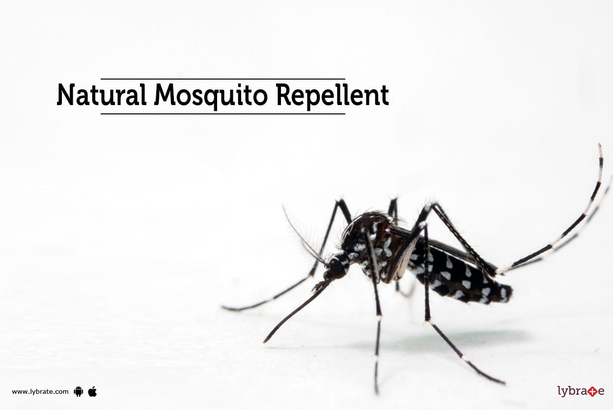 Natural Mosquito Repellent - Know all about them!