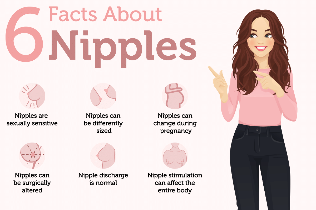 Nipple facts male and female