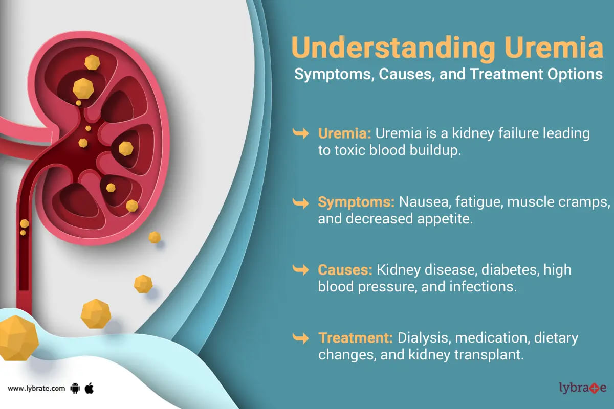 Unraveling the Mystery of Uremia: A Life-Threatening Condition