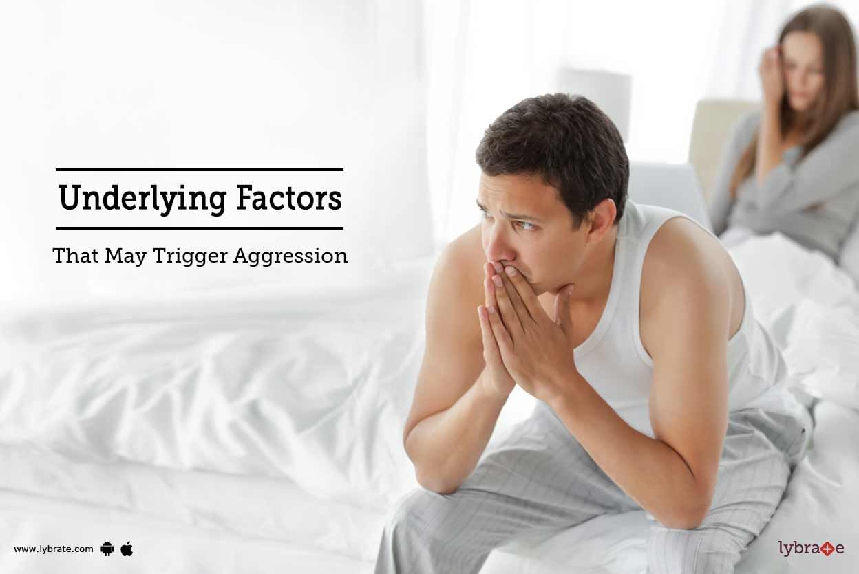 Underlying Factors That May Trigger Aggression