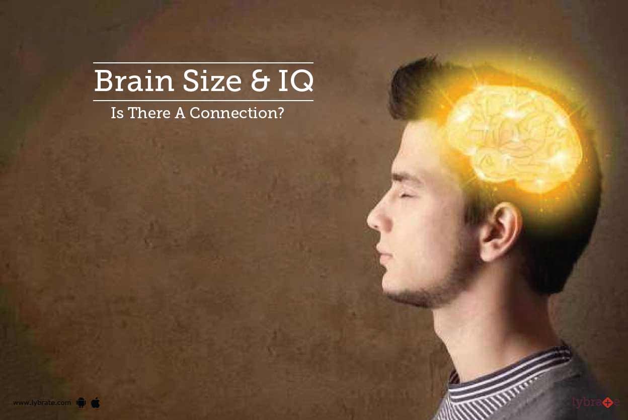 Brain Size & IQ - Is There A Connection?