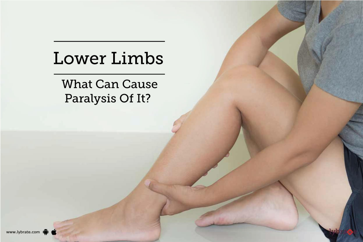 Lower Limbs - What Can Cause Paralysis Of It?
