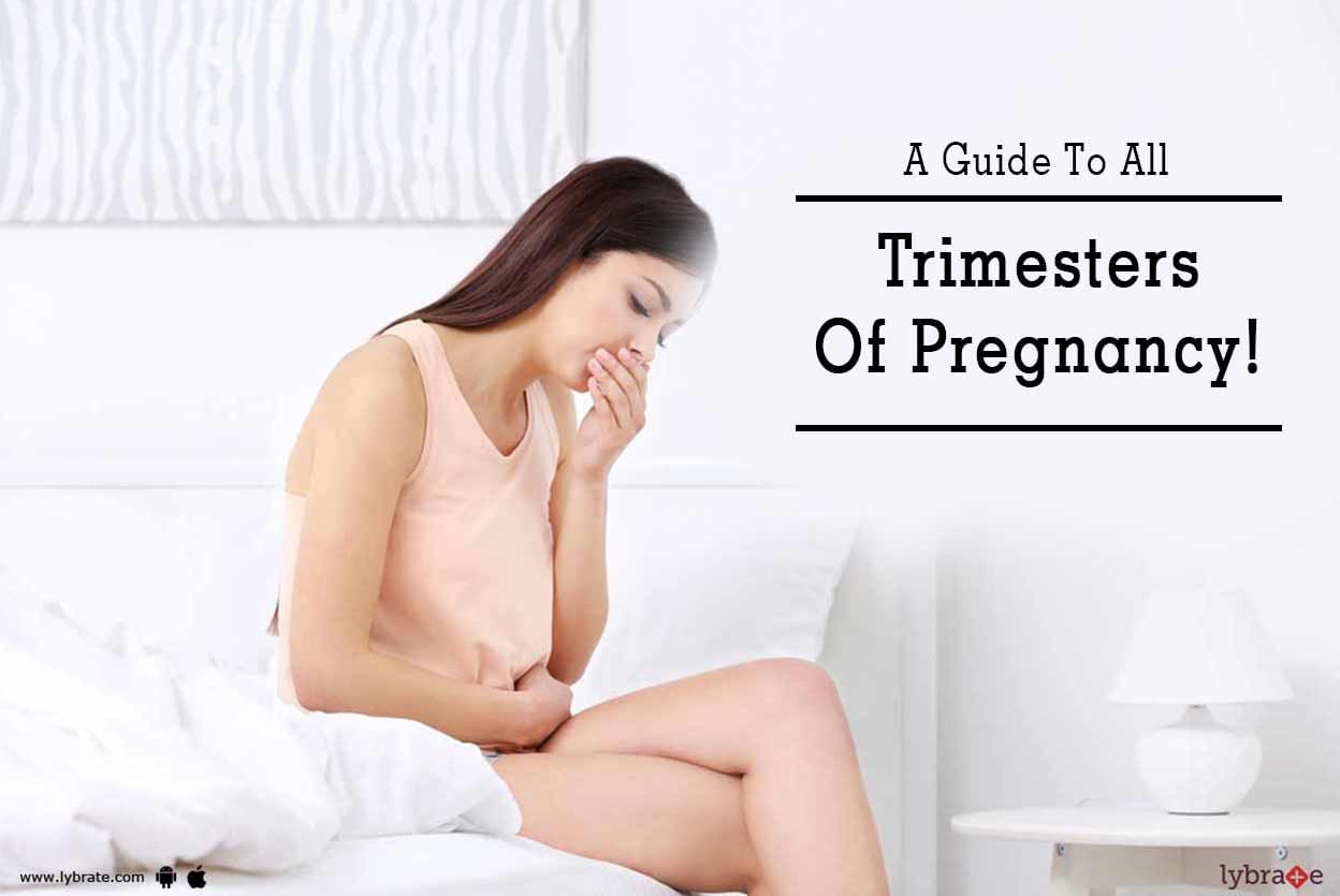 A Guide To All Trimesters Of Pregnancy!