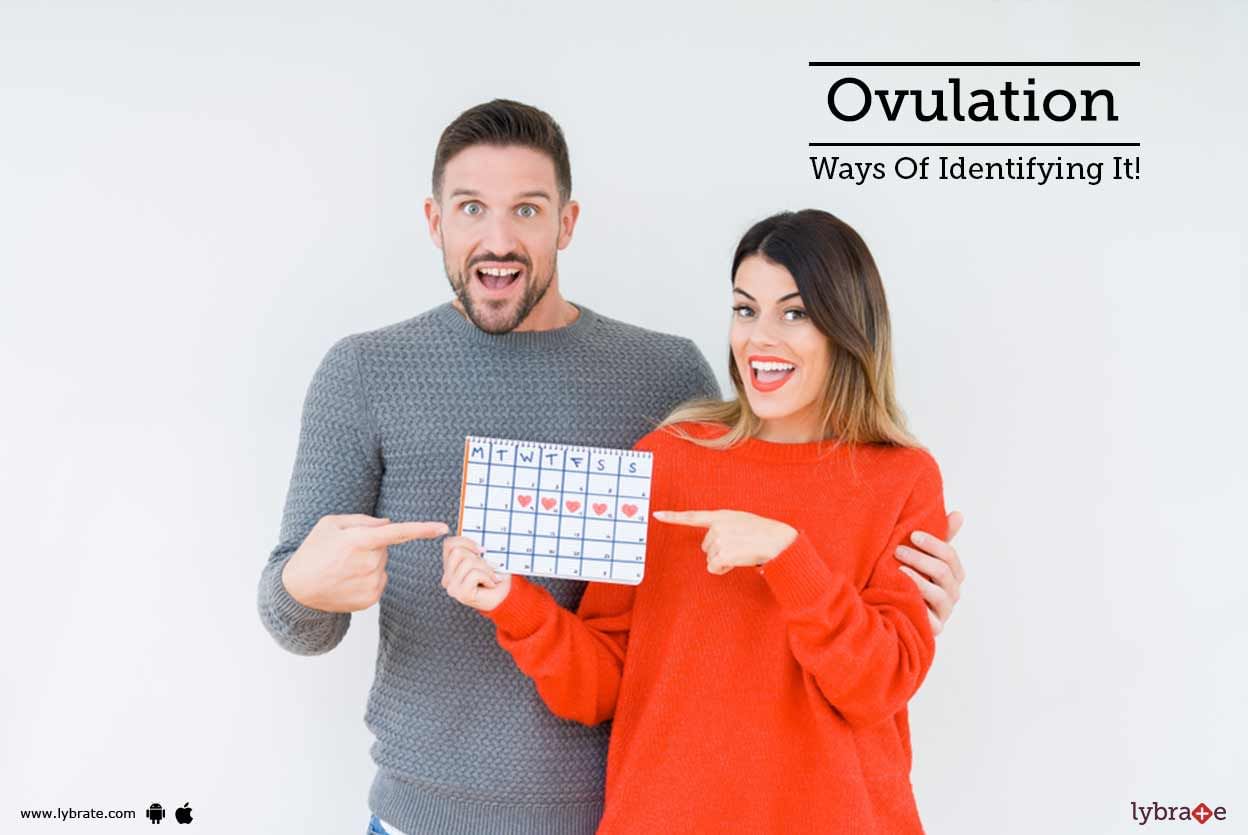 Ovulation  - Ways Of Identifying It!