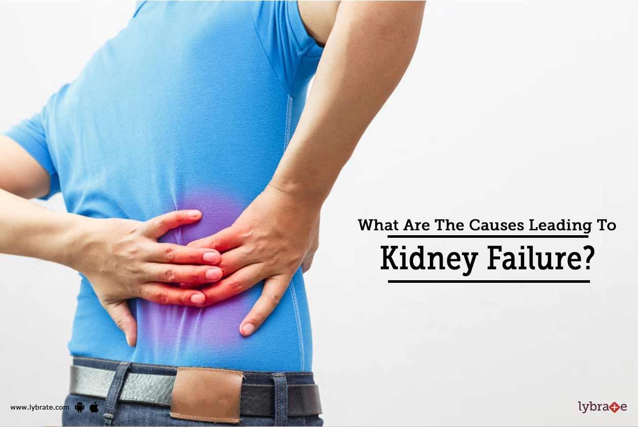 What Are The Causes Leading To Kidney Failure?