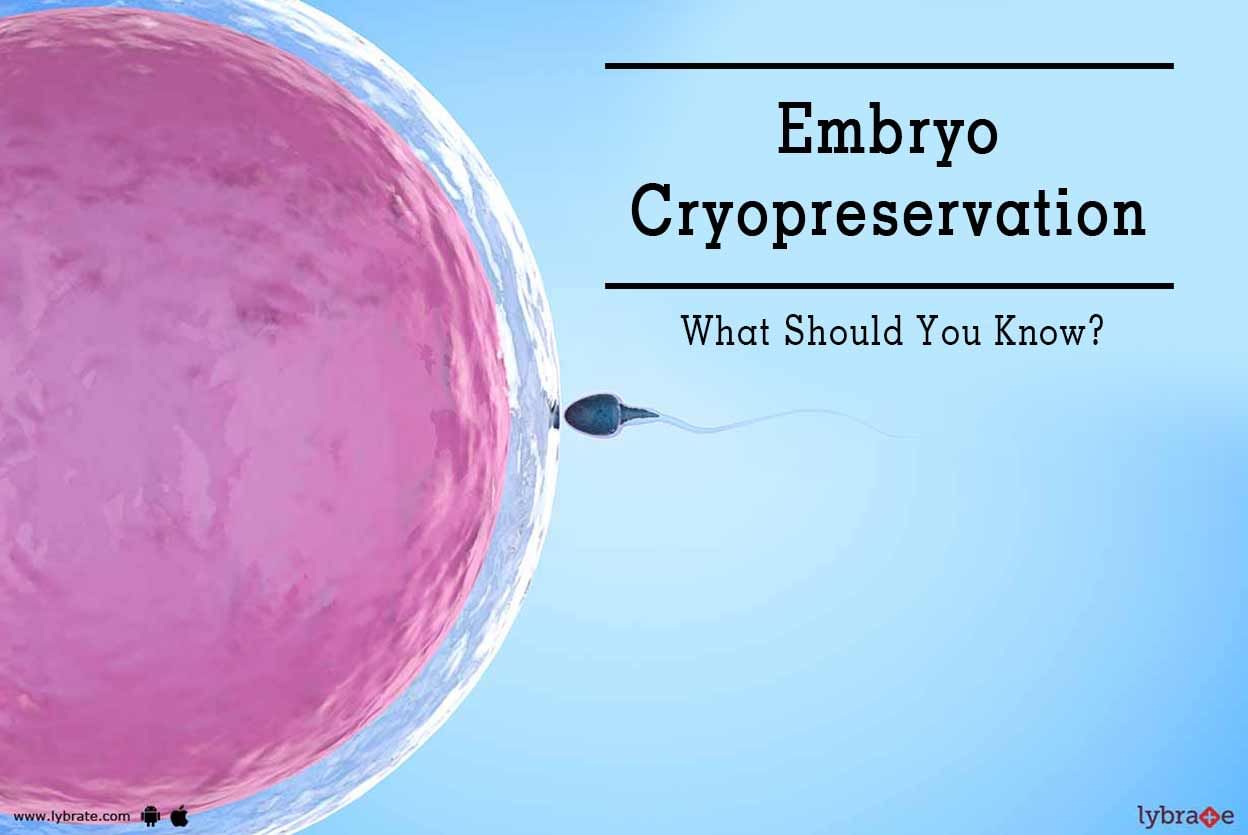 Embryo Cryopreservation - What Should You Know?