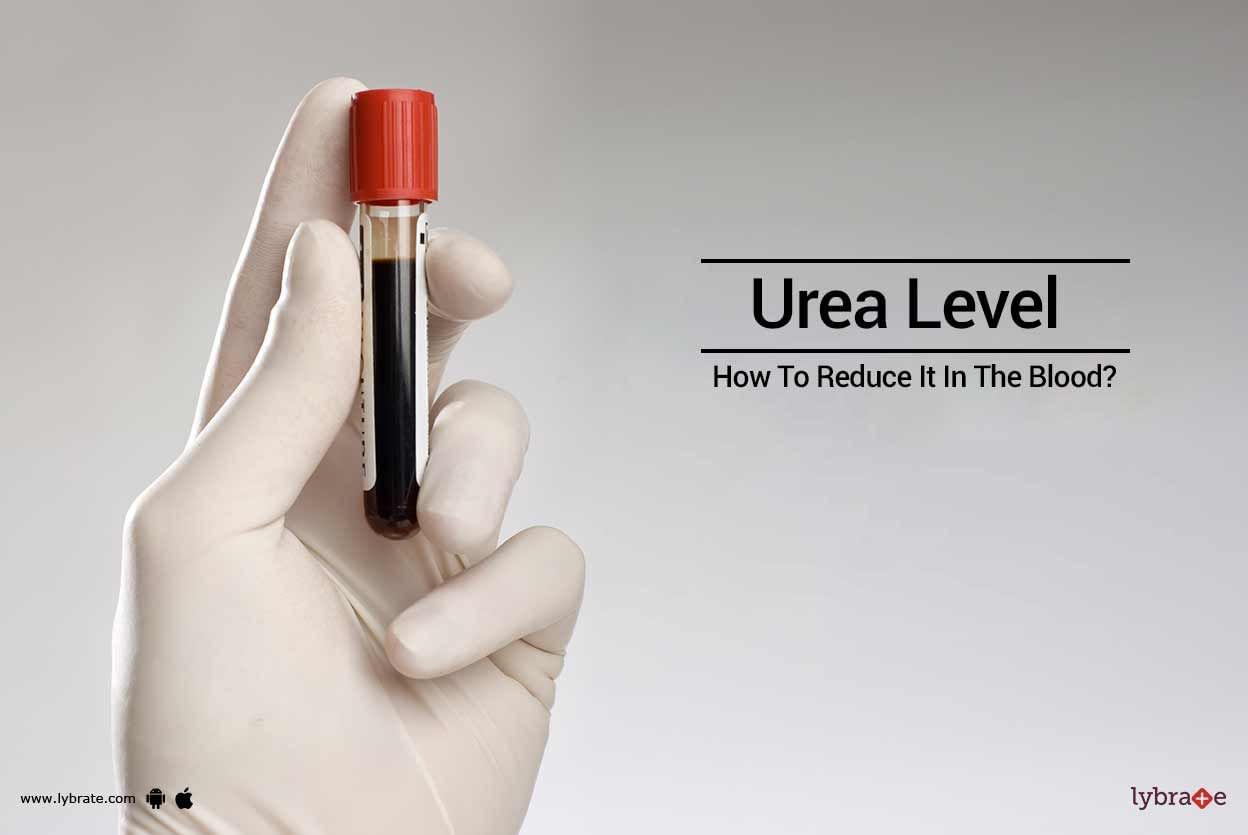 Urea Level - How To Reduce It In The Blood?