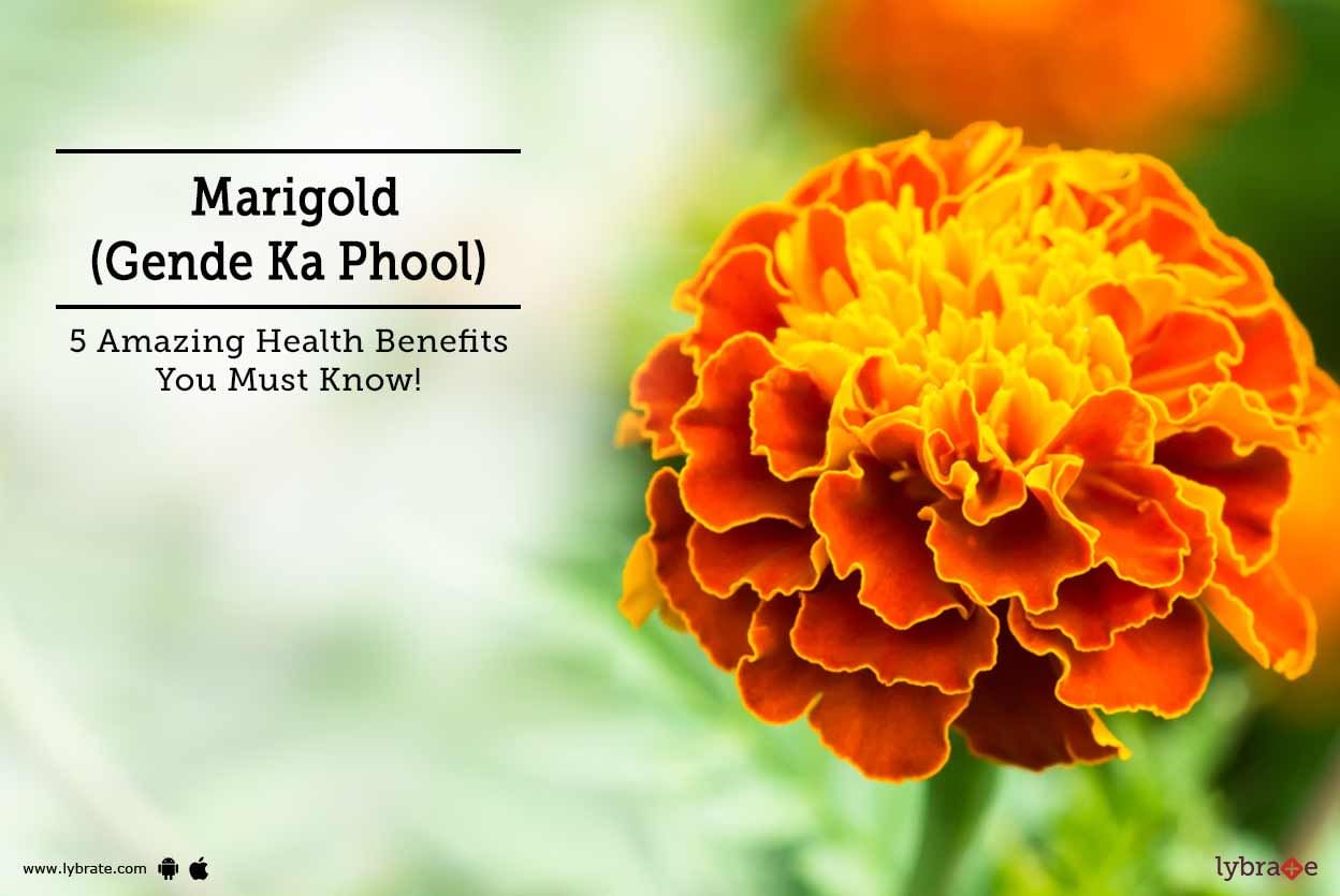 Marigold (Gende Ka Phool) - 5 Amazing Health Benefits You Must Know!