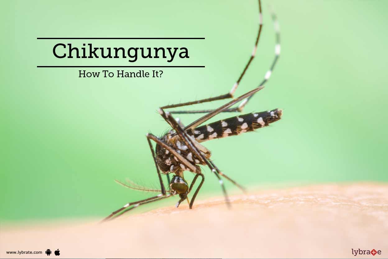 Chikungunya  - How To Handle It?