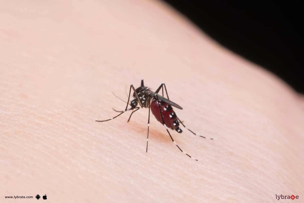 Malaria - What Should You Know?
