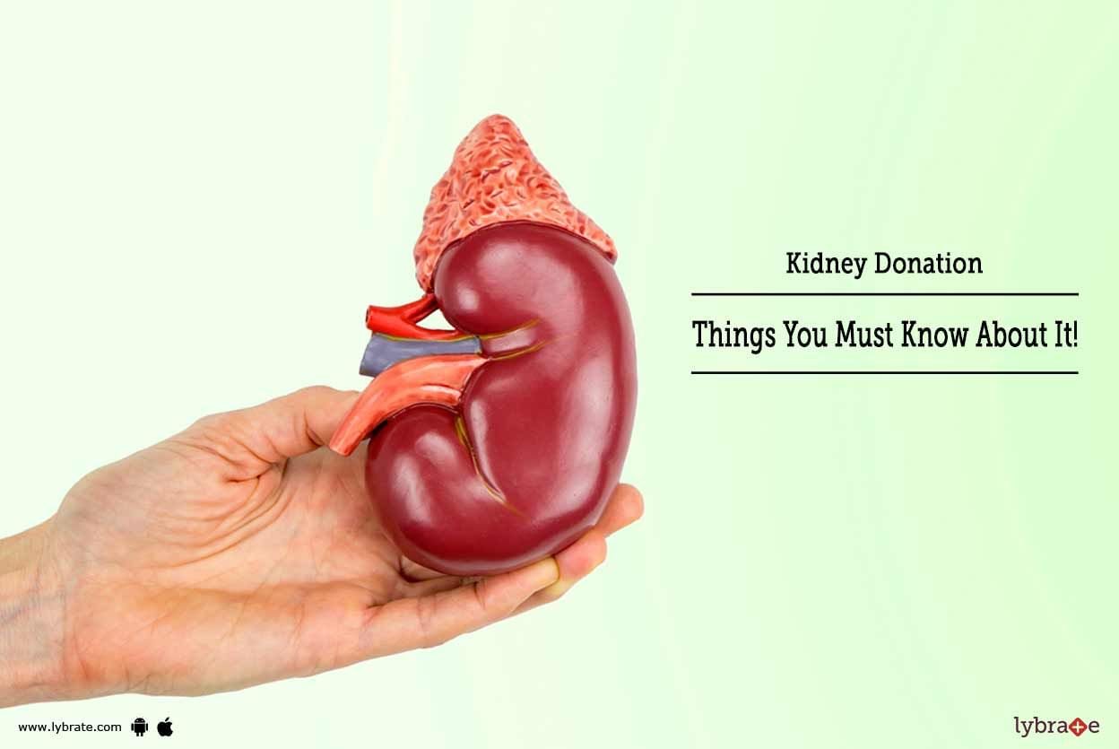 Kidney Donation - Things You Must Know About It!