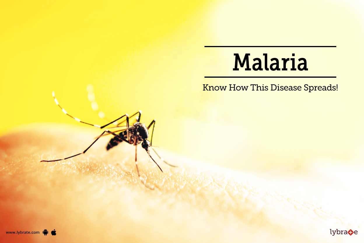 Malaria - Know How This Disease Spreads!