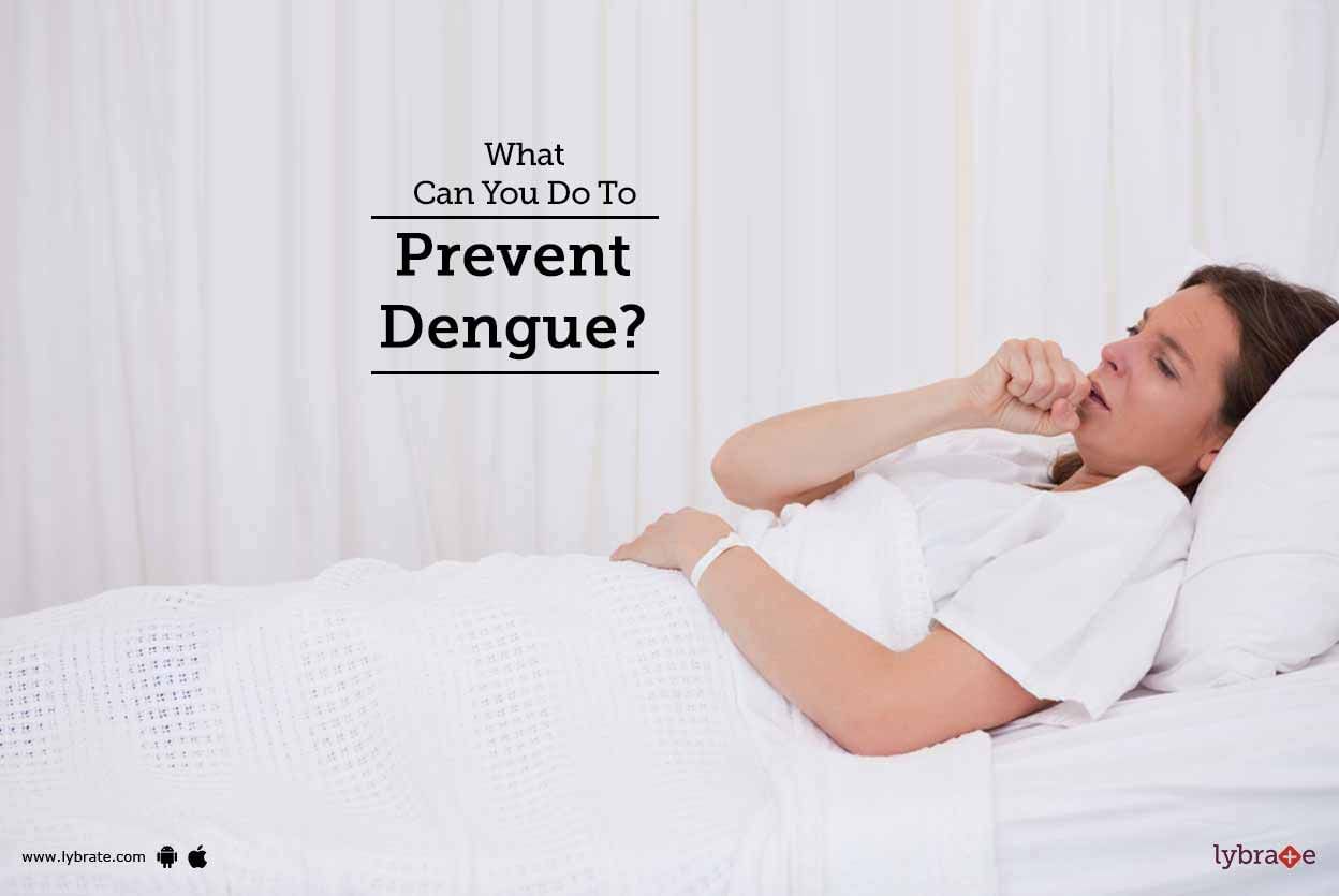 What Can You Do To Prevent Dengue?