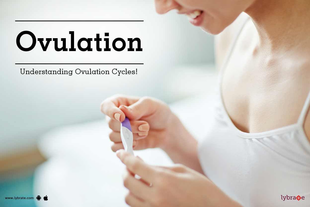 Ovulation - Understanding Ovulation Cycles!