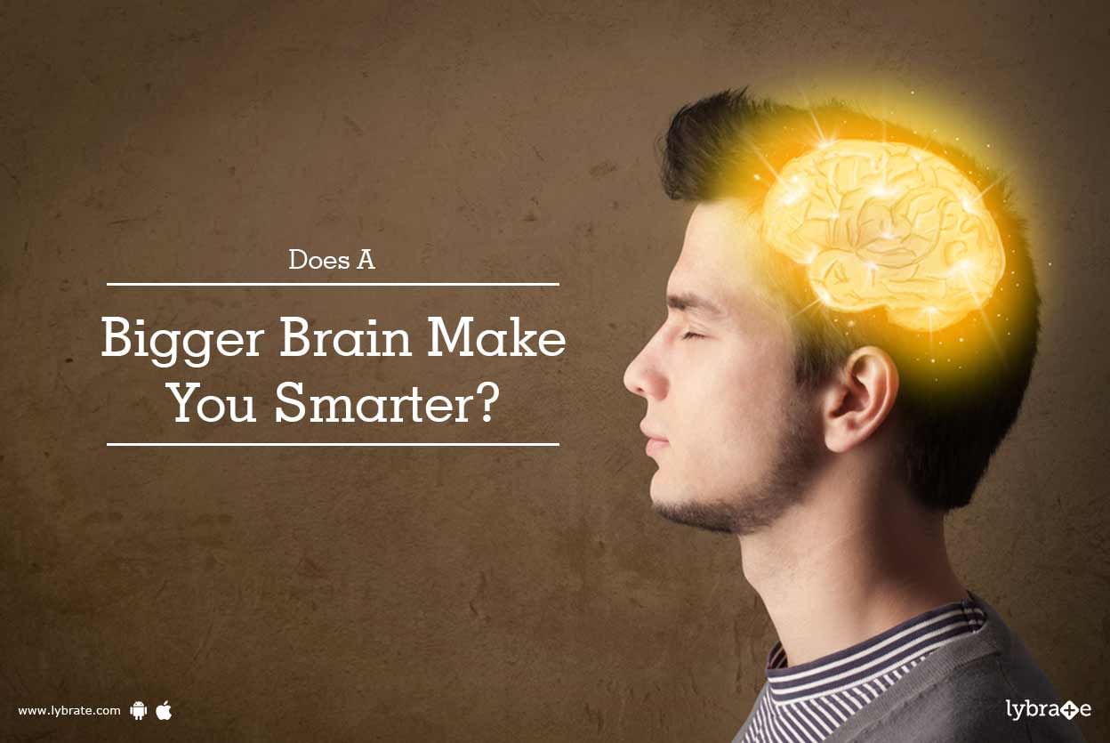 Does A Bigger Brain Make You Smarter?