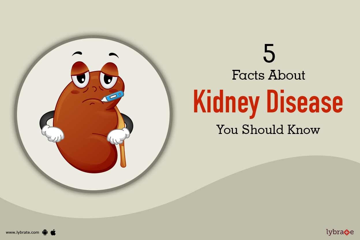 5 Facts About Kidney Disease You Should Know